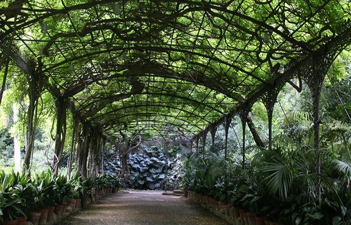 Dónde está el jardín botánico de málaga