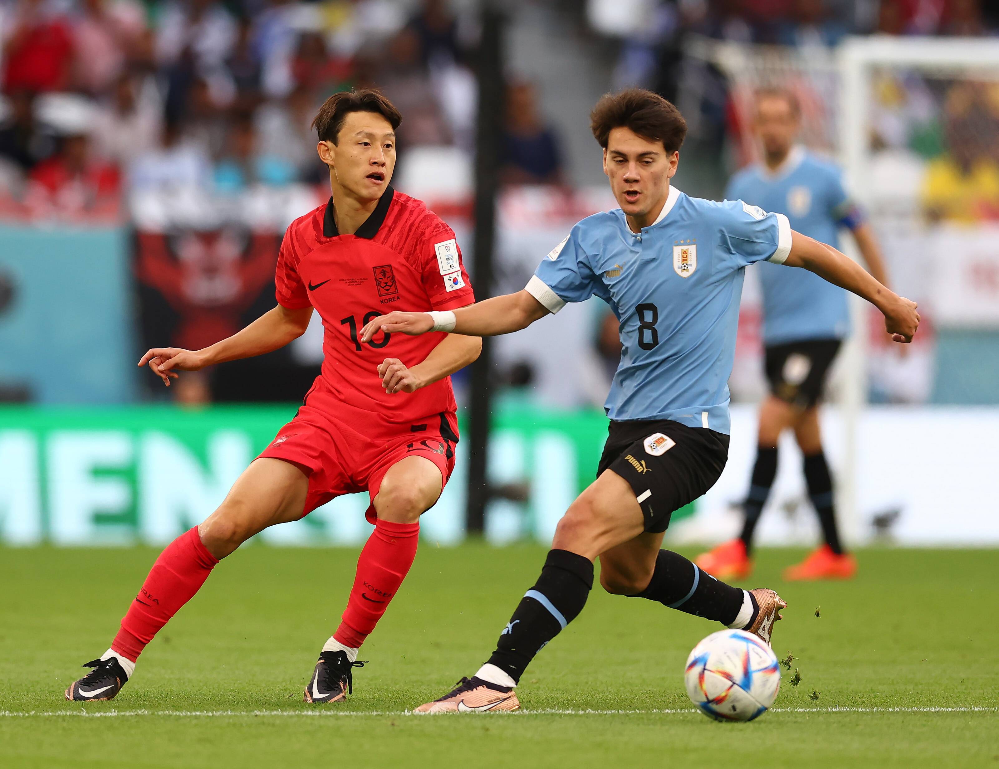 Uruguay - Corea del Sur, en directo: sigue el partido del Mundial de Qatar 2022.