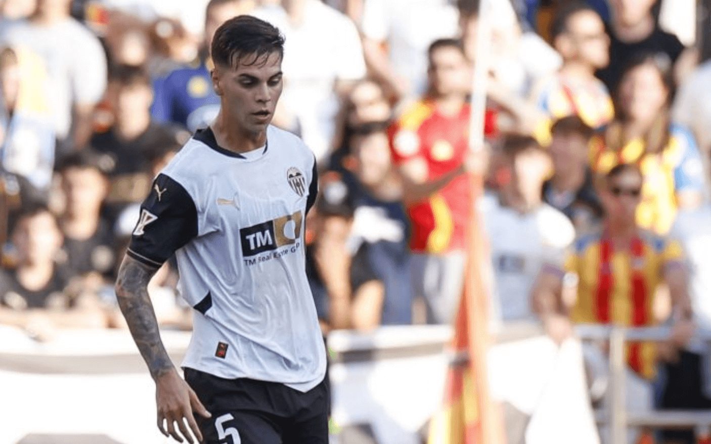 Enzo Barrenechea