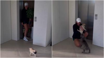 La sorpresa de Marcos Llorente a Paddy (Fuente @paddysfrutar)