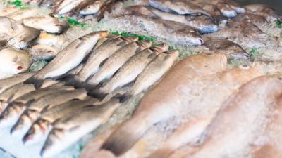 Pescado expuesto en un mercado (Foto: Freepik)