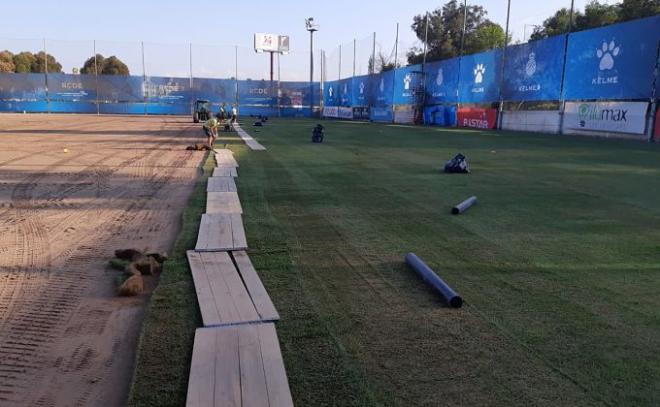 Obras en la Ciudad Deportiva Dani Jarque. (Foto: RCD Espanyol).