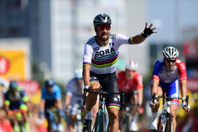 Peter Sagan celebra su llegada a meta en la segunda etapa del Tour de Francia (Foto: @LeTour).