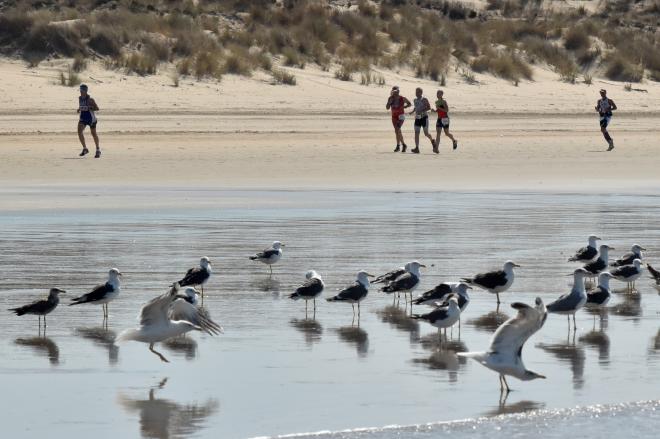 Desafío Doñana.