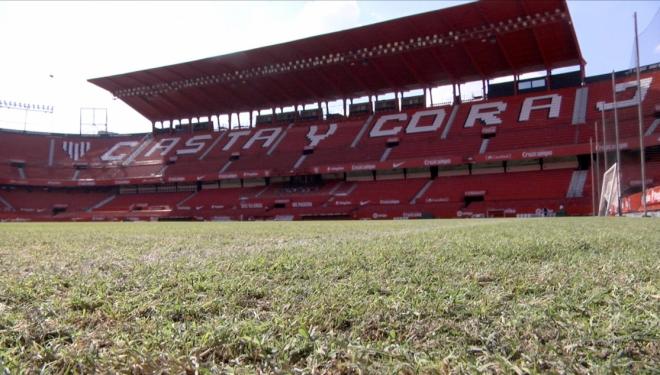Así ha quedado el nuevo césped del estadio Ramón Sánchez-Pizjuán (Foto: Sevilla FC).