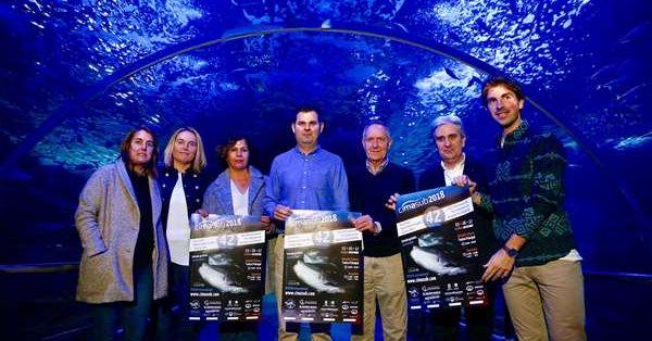 Presentada la 42 edición del Ciclo Internacional de Cine Submarino (Foto: Real Sociedad)
