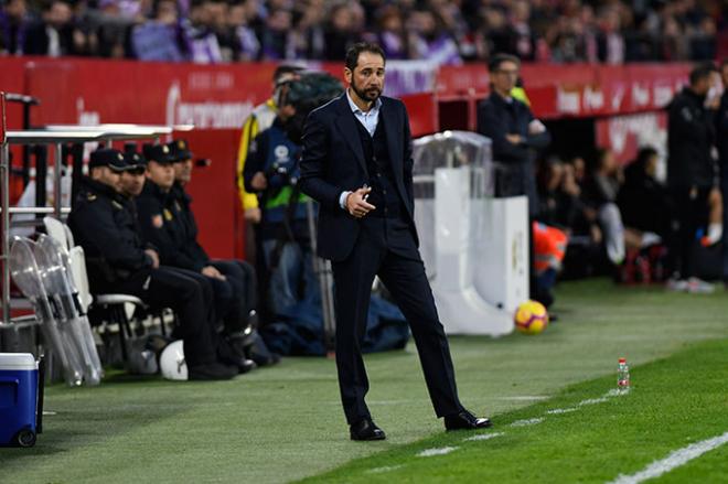 Pablo Machín, en el Sevilla-Valladolid. (Foto: Kiko Hurtado).