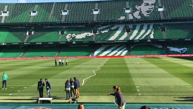 Estadio Benito Villamarín (Foto: ElDesmarque).