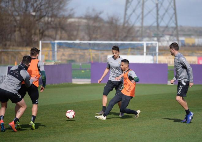 Los jugadores del Pucela, en un entrenamiento (Foto: Real Valladolid).