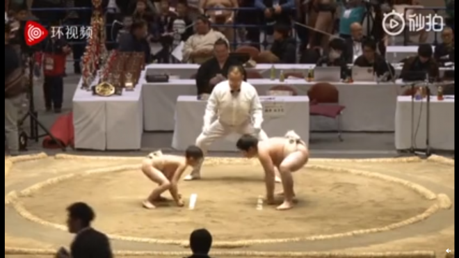 Pelea entre dos niños en sumo.