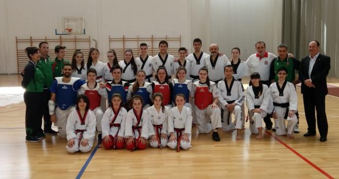 Éxito de la selección de Euskadi de Taekwondo en tierras levantinas.