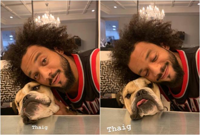 Las tiernas fotos de Marcelo con su perro Thaig (Foto: Instagram Stories).