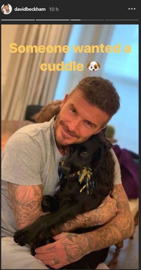 Abrazo de David Beckham a su perro Olive.