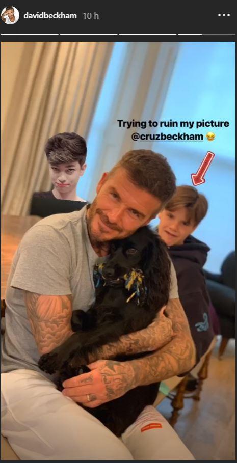 Cruz Beckham 'trollea' a su padre David y su perro Olive.