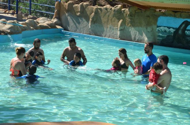 Actividad con leones marinos en El Castillo de Las Guardas.