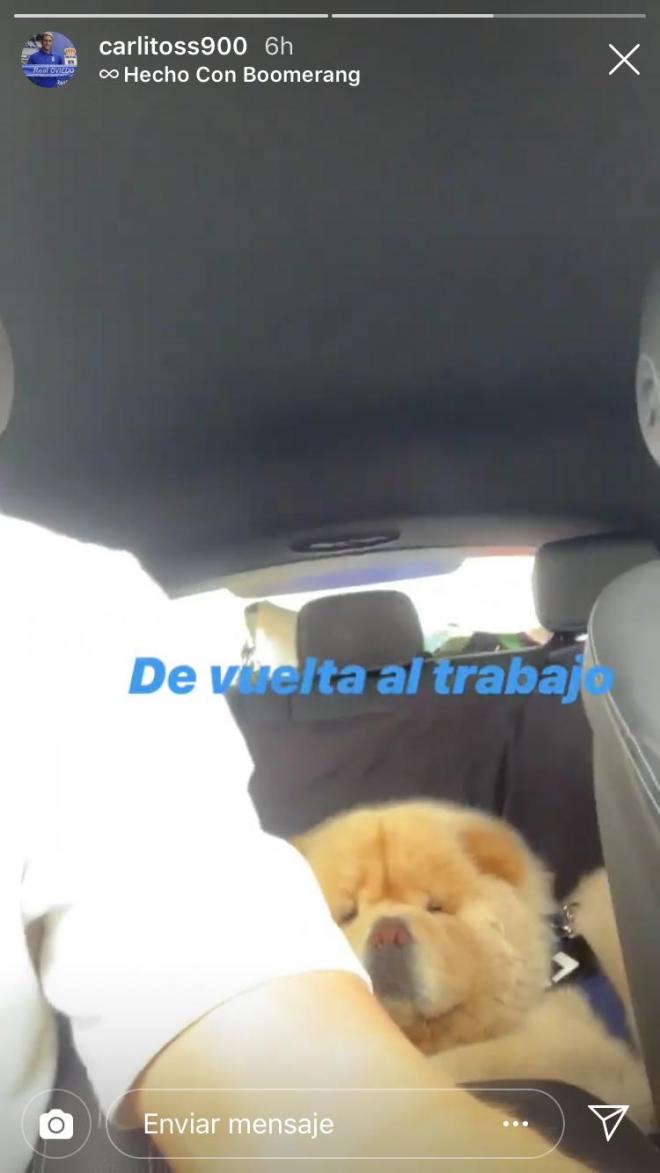 Leo, el perro de Carlos Hernández, en la publicación del jugador del Real Oviedo (Foto: @carlitoss900).