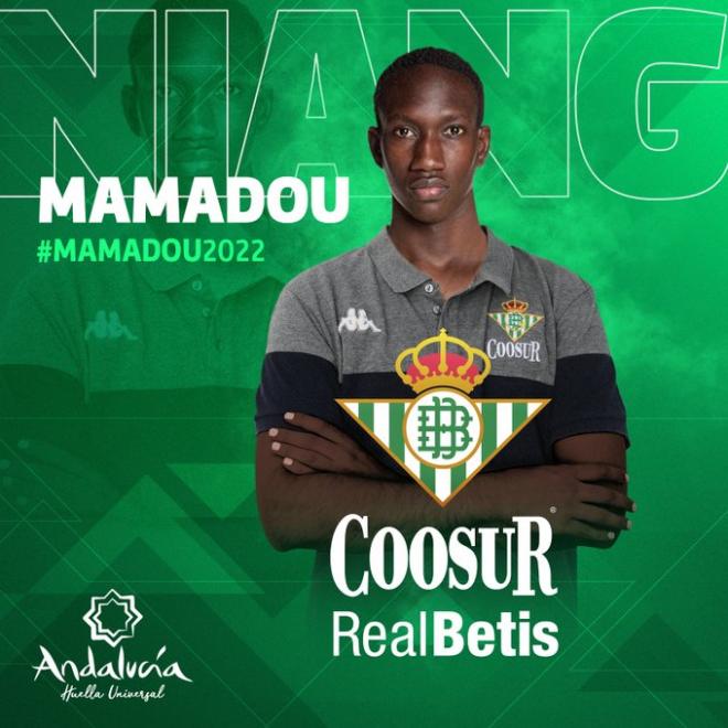 Mamadou Niang, nuevo jugador del Coosur Betis.