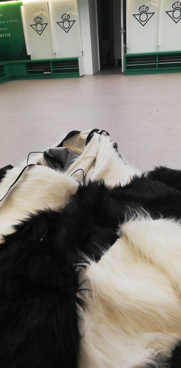 Un disfraz de oso panda ha sido cazado en el vestuario del Real Betis.