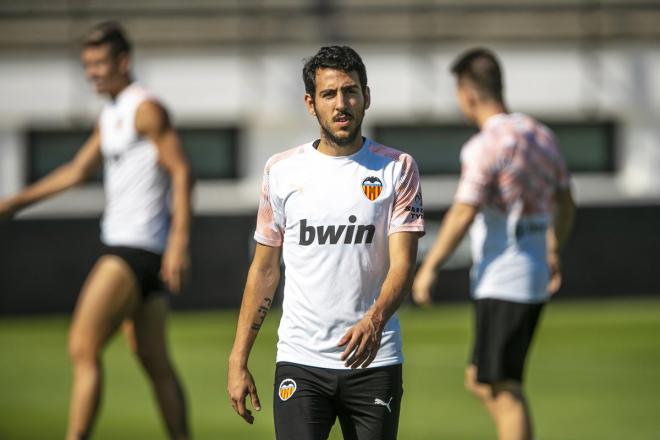 Dani Parejo (Foto: Valencia CF)