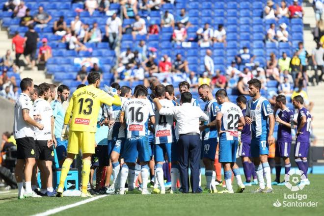 Los jugadores del Espanyol, durante la pausa para la hidratación en el partido ante el Real Valladol