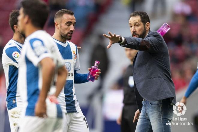 Machín da instrucciones a Darder (Foto: LaLiga).