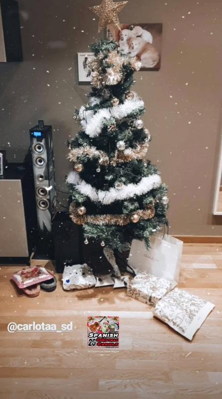 Captura de Instagram de Diegui Johannesson, con el árbol de Navidad (Foto: diegui_johan).
