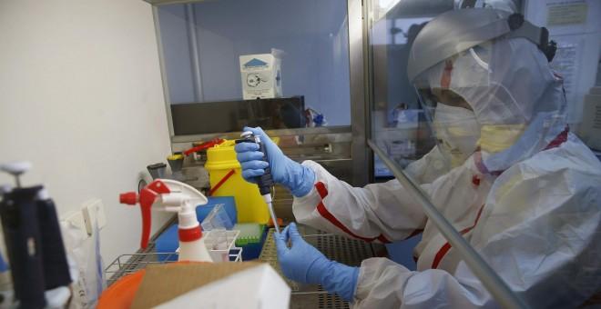 Científicos en Australia descubren la defensa inmunológica contra el coronavirus (Foto: EFE).