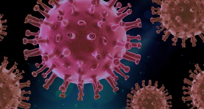 El coronavirus provoca el mayor ascenso del paro de la historia.