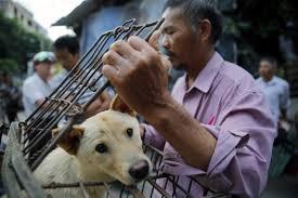 Venta de perros en un mercado chino (FOTO: EFE).