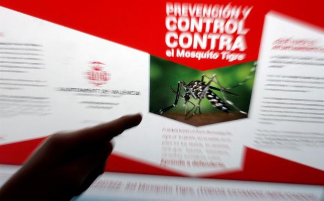 Cartel de una campaña de prevención contra el mosquito tigre (Foto: EFE).