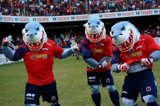 Mascotas de Tiburones Rojos de Veracruz.