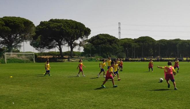 Imagen de la pasada edición del Campus, en El Rosal.