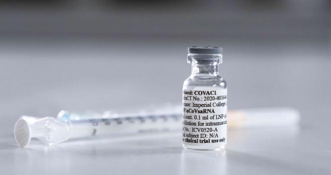 Estudios de la vacuna contra el coronavrus (Foto: Associated Press / Imperial College London).