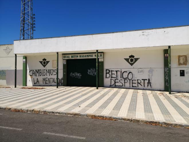 Pintadas de la afición del Betis en la Ciudad Deportiva Luis del Sol (Foto: Kiko Hurtado).