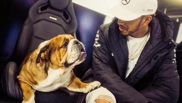 Lewis Hamilton y su perro Roscoe.