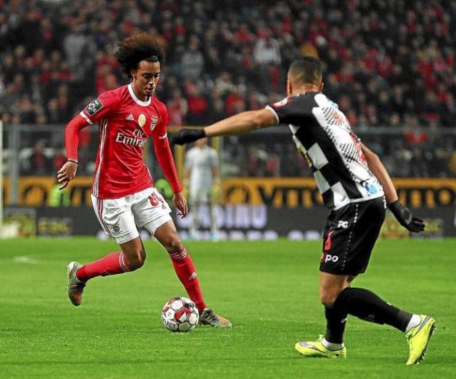 Tomas Tavares, en un partido con el Benfica.