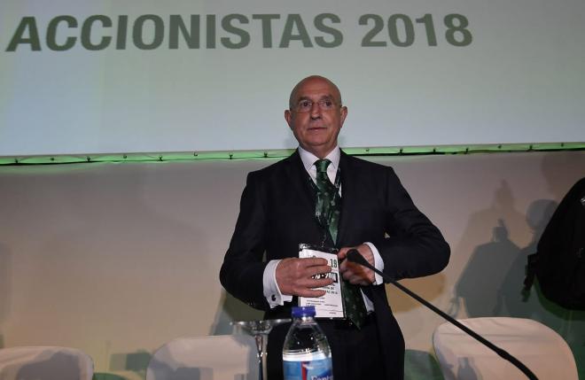 Serra Ferrer, en una Junta de Accionistas del Betis (Foto: Kiko Hurtado).