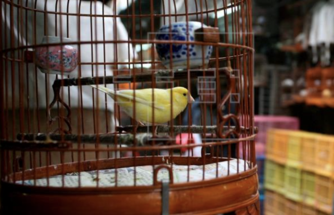 Objetos raros que se dejaron en el metro en Valencia (Foto: EFE)
