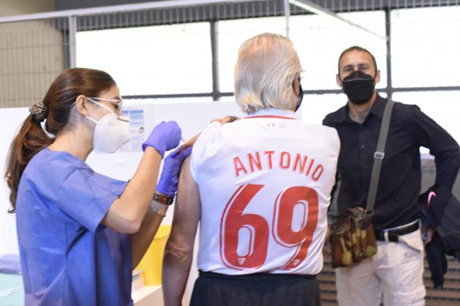 El sevillista Antonio Romero, vacunándose en La Cartuja (Foto: Kiko Hurtado).