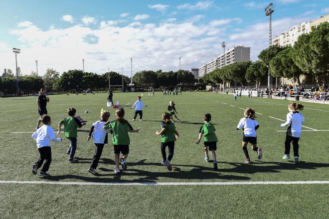 Escuelas deportivas municipales de Valencia plazos de inscripción