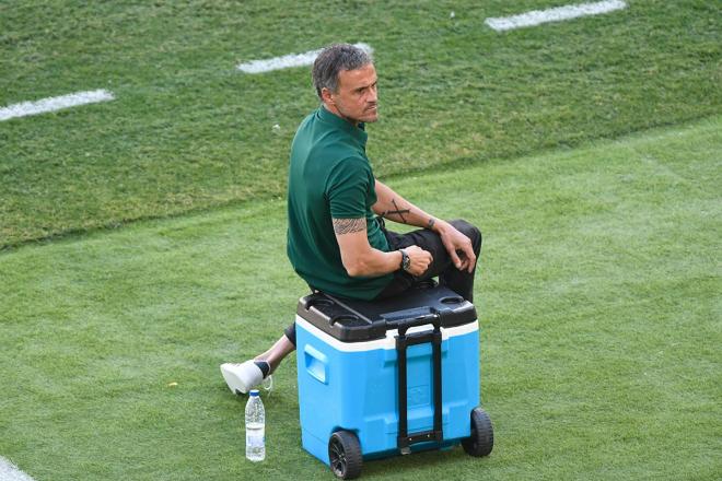 Luis Enrique, ante Eslovaquia (Foto: Kiko Hurtado).