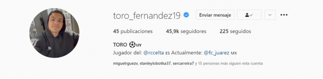 Descripción del Toro Fernández en Instagram (Foto: toro_fernandez19).