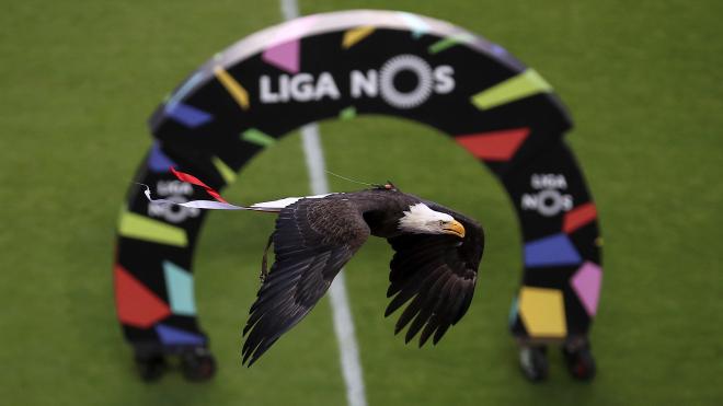 Imagen del Benfica.