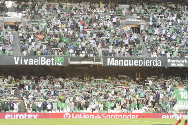 La afición del Betis, en el partido ante el Cádiz (Foto: Kiko Hurtado).