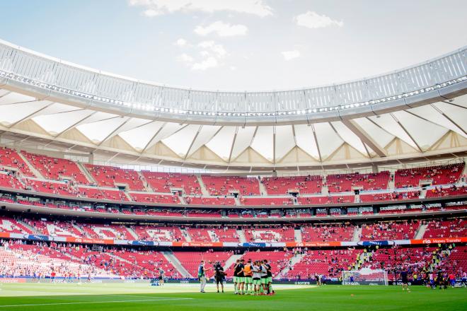 Piña de los Leones en el estadio Metropolitano del Atlético de Madrid (Foto: Athletic Club).