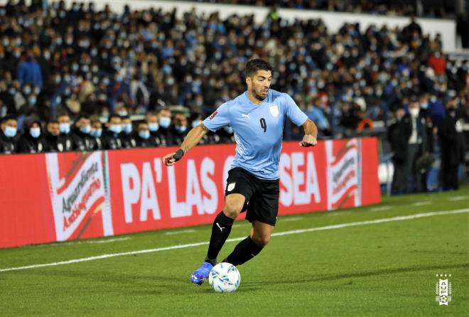 Luis Suárez, durante el Uruguay-Colombia (Foto: Uruguay).