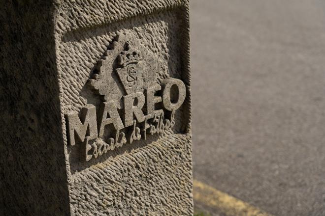 Mareo, escuela de fútbol del Real Sporting de Gijón (Foto: RSG).