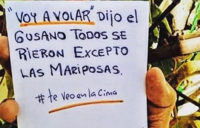 La frase publicada por Arzamendia en sus redes sociales.