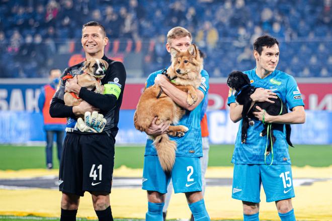 Algunos jugadores del Zenit posan con los perros en adopción (Foto: FC Zenit).