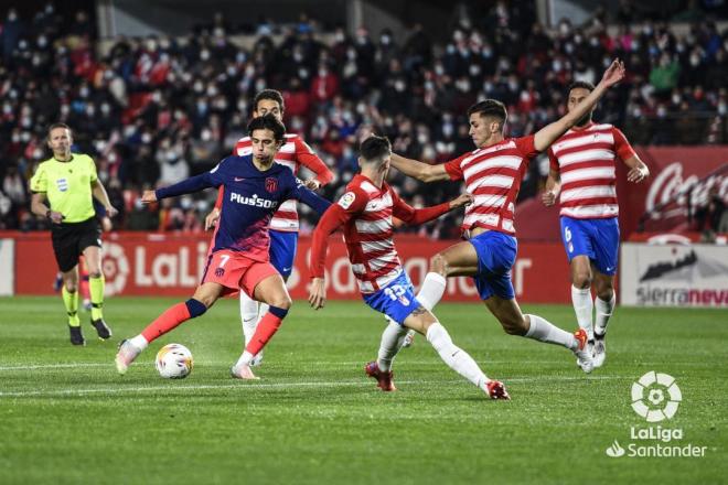 Simeone le dio la titularidad a Joao Félix (Foto: LaLiga).